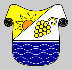 OBČINA GORNJA RADGONA